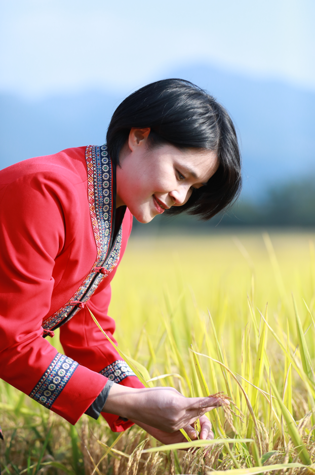 田間(jiān) (2).jpg 田間(jiān) (2).jpg