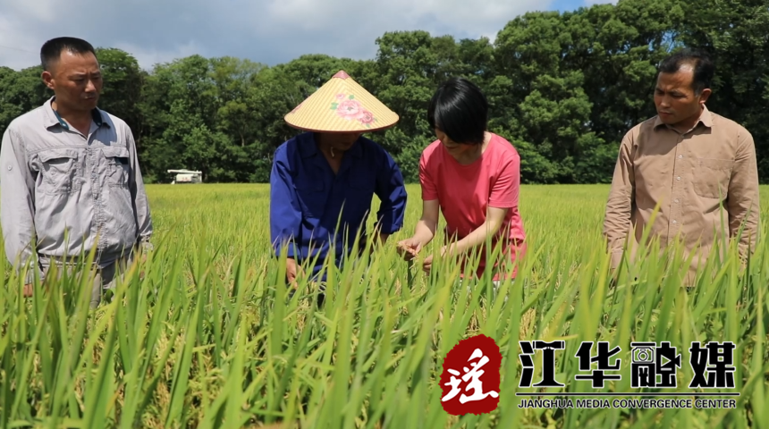 微(wēi)信截圖_20221013105828.png 微(wēi)信截圖_20221013105828.png