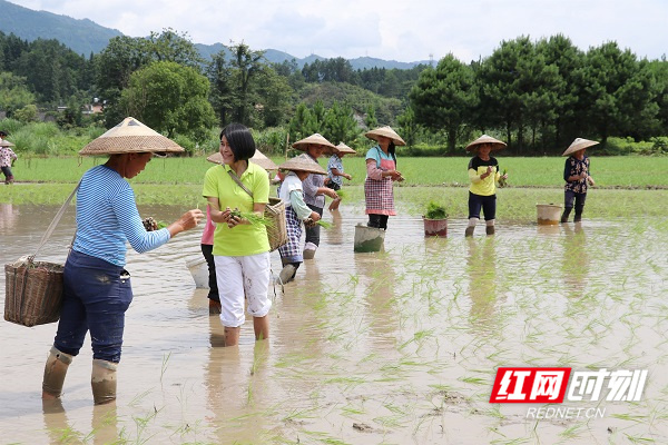 微(wēi)信圖片_20211122160045.jpg 微(wēi)信圖片_20211122160045.jpg