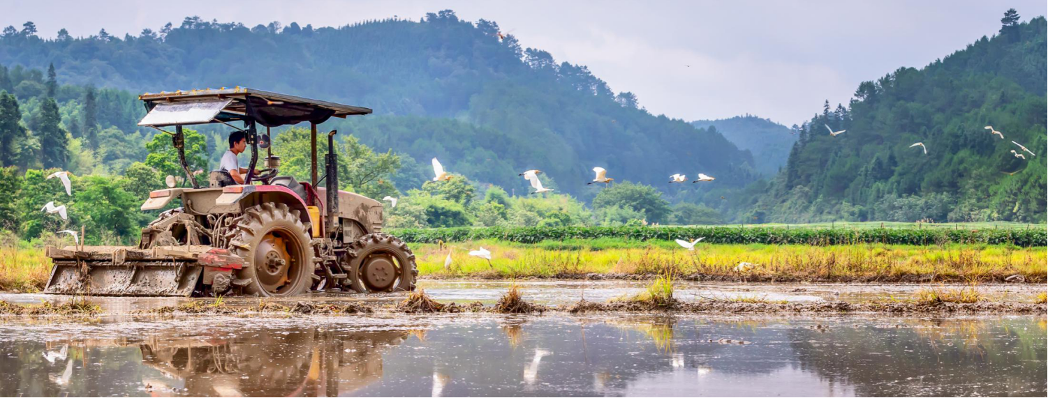 耕種時(shí)，白(bái)鹭與農(nóng)機(jī)共舞(wǔ).png