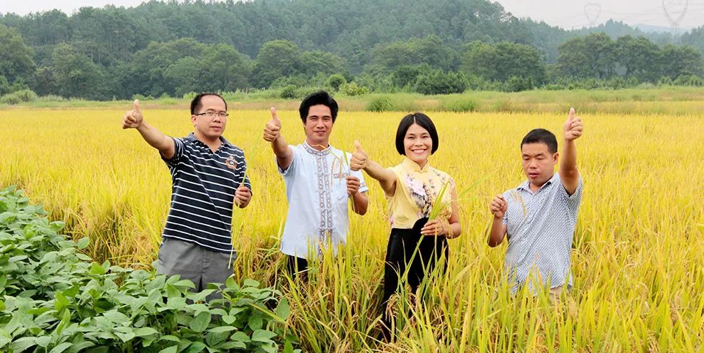 網站(zhàn)3.jpg 網站(zhàn)3.jpg